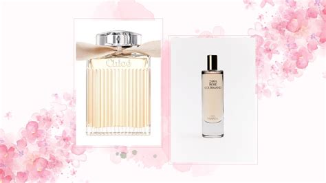 chloe perfume zara dupe|zara rose gourmand dupe.